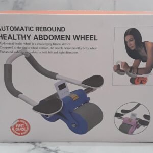 Rueda De Abdomen Saludable.